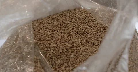 Close-up of hemp seeds in packet serve as protein powerhouse plant based protein Stock Footage 255910899