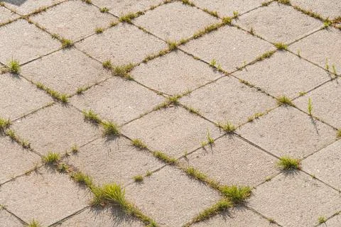 Close-up of herringbone-patterned gray tiles in urban setting, weeds or gra.. Stock Photos