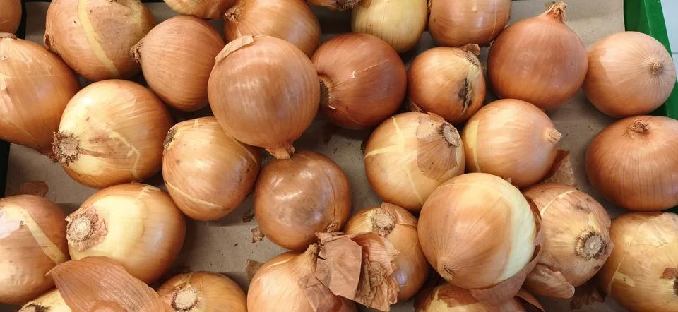 A close up, high angle view of a large pile of whole raw yellow onions with.. Stock Photos