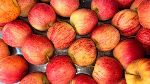 A close-up, high-angle view reveals a collection of fresh, ripe apples with v Stock-Fotos