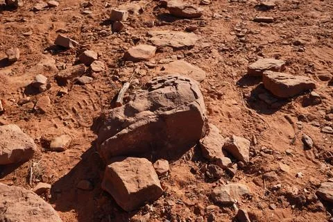 A close-up high-angle view of sunlit red desert soil scattered Stock-Fotos