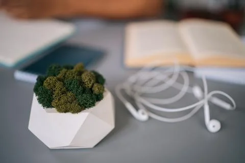 Close-up high-angle view of wired headphones and small potted houseplant on Stock Photos
