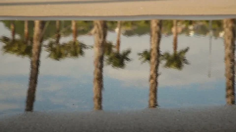 Close up high heels walking through a puddle Vidéo 114559728