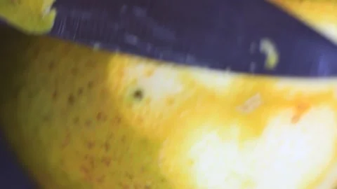 A close-up, high-resolution macro image beautifully showcasing the stunning visu Stock Footage 254600993