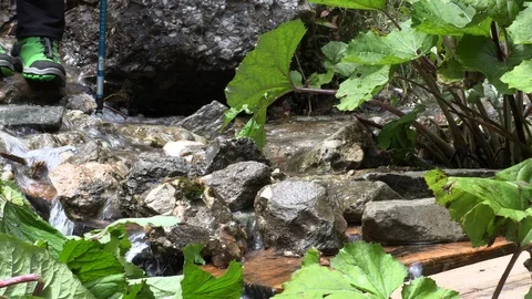 Close-up of hiker balancing on rocks and crossing small stream in forest Vídeos de archivo 102808137