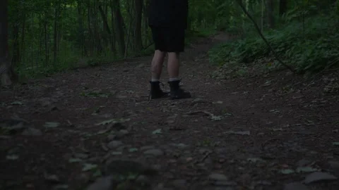 Close-up of a hiker checking a forest trail for safety before... Stock Footage 336192939