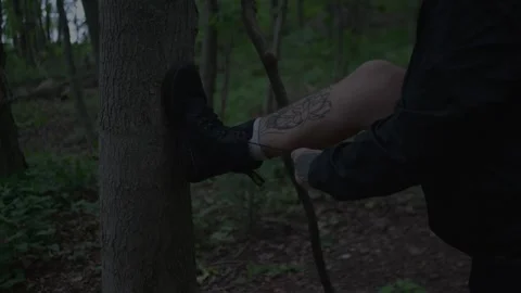 Close-up of a hiker tying a boot lace against a tree in a forest... Stockbeeldmateriaal 336192932