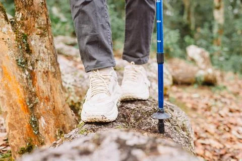 Close up of hiker walking on tree trunk in forest, symbol of adventure, exp.. Foto stock
