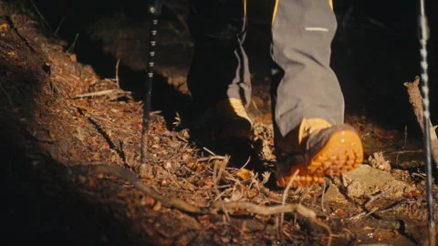 Close-up of a hiker's boot stepping on a muddy forest path, emphasizing texture Stock Footage 288291160
