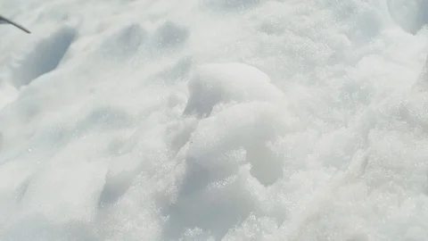 Close up- Hiking up Mount Baker with Crampons Stock Footage 93209192