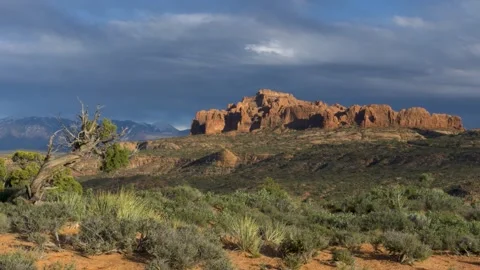 A close up of a hillside next to a rock Stock Footage 156014799