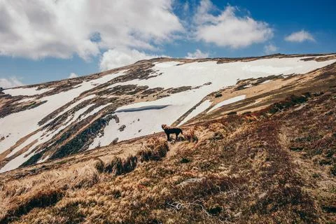A close up of a hillside Stock Photos