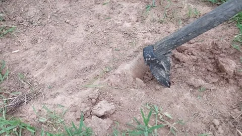 Close up of a hoe digging and breaking up dry soil for planting Stock-Footage 336474254