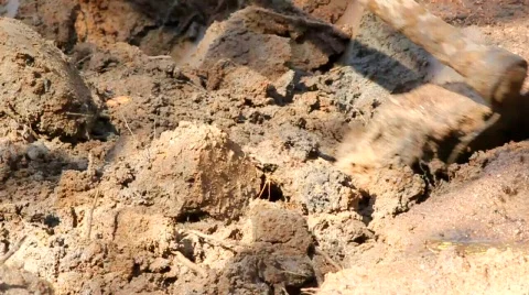 Close up of hoe digging in dirt Stock Footage 750301