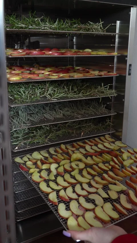 Close-up Home Fruit Dehydrator. Vertical shot 스톡 동영상 330481170