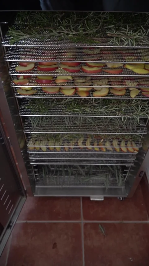 Close-up Home Fruit Dehydrator. Vertical shot Video stock 330486280