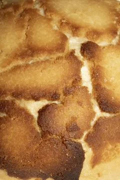 Close up of home made bread roll texture tiger pattern Stock Photos