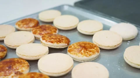 Close Up of Homemade Crème Brûlée Macarons on a Baking Sheet Stock-Footage 343019686
