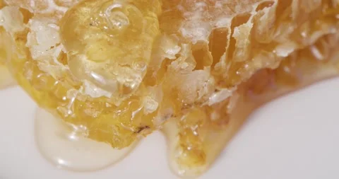 Close-up of honey flowing down the beeswax Stock Footage 286840685