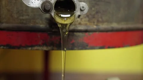 Close-up Honey flows from a honeycomb extractor in a bucket. Slow motion Stock Footage 237240661