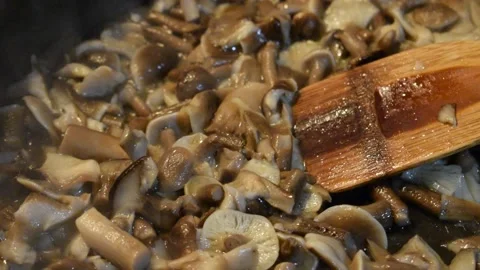 Close up on honey mushrooms Stock Footage 142669689
