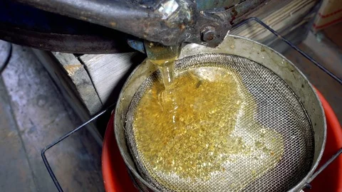 Close up of a honey spinner extracting and filtering raw honey. Stock Footage 77729687