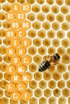 Close-up of a honeybee on a honeycomb structure with hexagonal cells Stock Photos