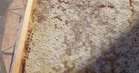 Close-up honeycomb with capped wax cells and honey slowly dripping over hexagon Stock Footage 344598042