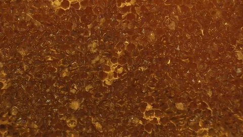 Close-up of a honeycomb Stock Footage 74055504