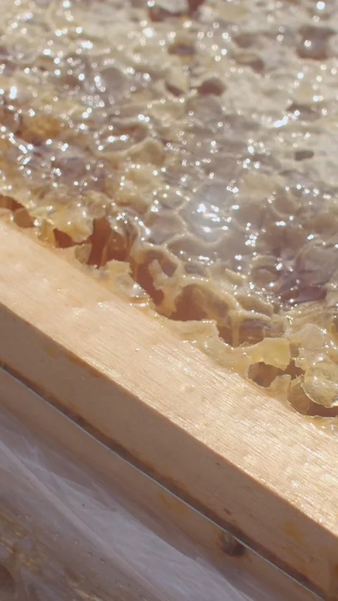 Close-up honeycomb with honey pooling on light wooden rail, warm amber soft glow Stock Footage 344583459
