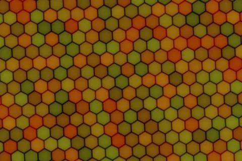 Close-up of honeycomb pattern with beeswax hexagons Stock Illustration