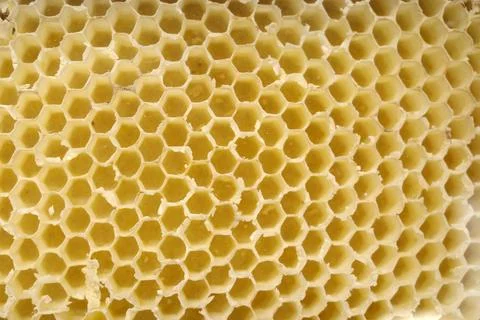Close-up of a  honeycomb Stock Photos