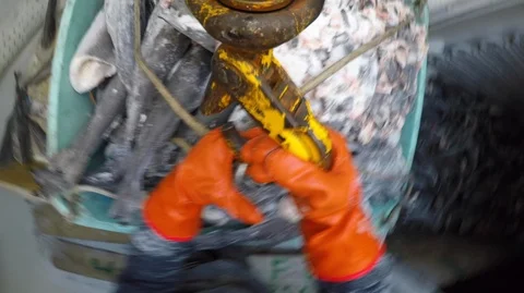 Close up of hook picking up box with frozen fishes, United States Stock Footage 138895012