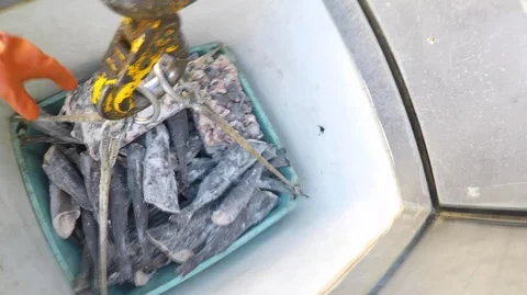 Close up of hook picking up box with frozen fishes, United States Stock Footage 138895069