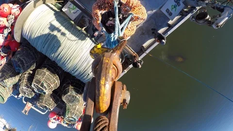 Close up of hook picking up net with frozen fishes, United States Stock Footage 138894094