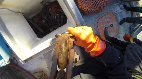 Close up of hook picking up net with frozen fishes, United States Stock Footage 138894374