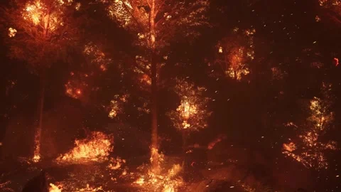 Close-up of horrifying fire in the forest and blazing trees in the dark. Vidéo 302795121