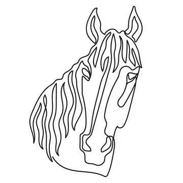 Close up horse head continuous one line drawing illustration Stock Illustration