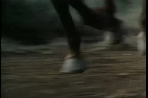 Close-up horse hooves running Stock Footage