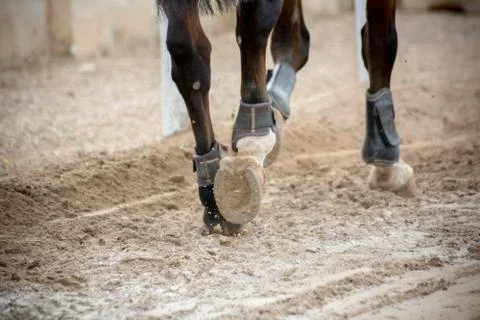 Close up of horse hooves trotting Stock Photos