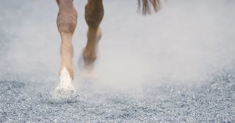 Close-up of horse hooves walking on sandy ground Stock Footage 77204713
