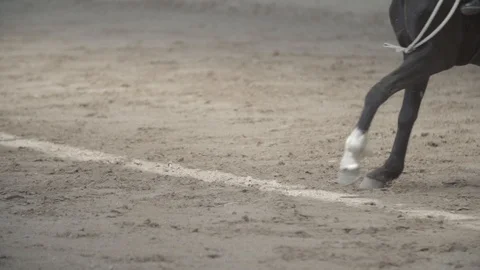 CLOSE UP OF HORSE LEGS WHILE RUNNING IN AND OUT OF SHOT IN SLOW MOTION Stock Footage 100775328