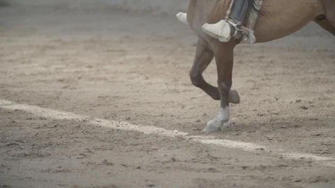 CLOSE UP OF HORSE LEGS WHILE RUNNING IN AND OUT OF SHOT IN SLOW MOTION Stock Footage 100775489