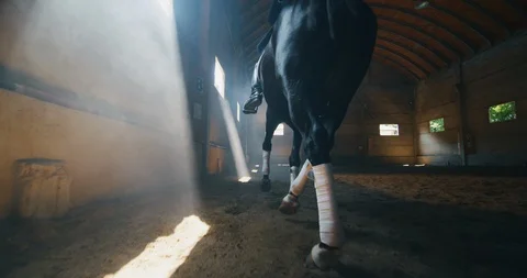 Close up of horsemanship master is practising before competition of horse racing Stock Footage 114669501