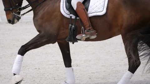 Close up of horse's legs while galloping in slow motion. Video stock 158634262