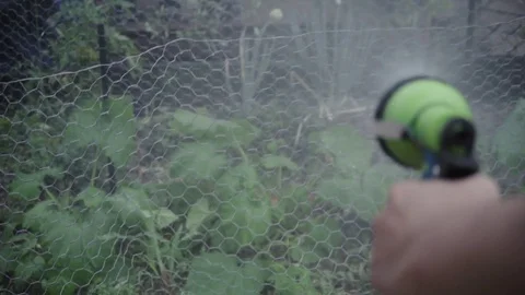Close up of hose watering vegetable garden Stock Footage