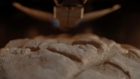 Close-up of a hostess putting homemade bread with a pattern in the oven Stock Footage 168816718