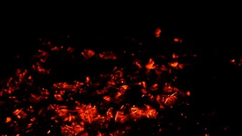 Close up of hot burning fire wood coal Stock Footage 93843814