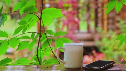 Close-up of hot coffee cup and mobile phone lying on wood table in green garden. Видео 254541500