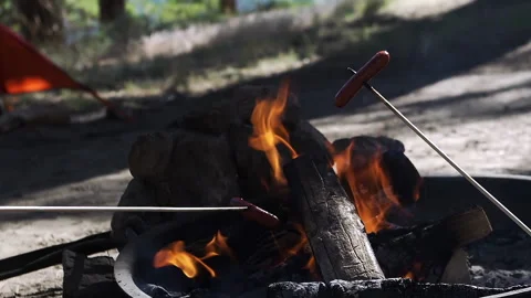 Close-up of hot dogs roasting over an open campfire Stock Footage 138475596